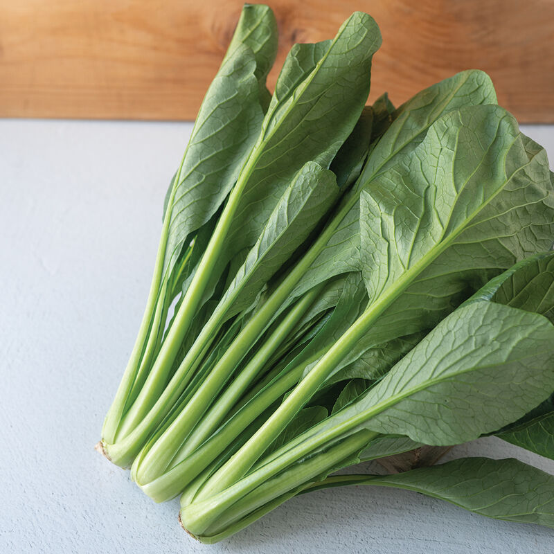 Green River – Komatsuna Seeds